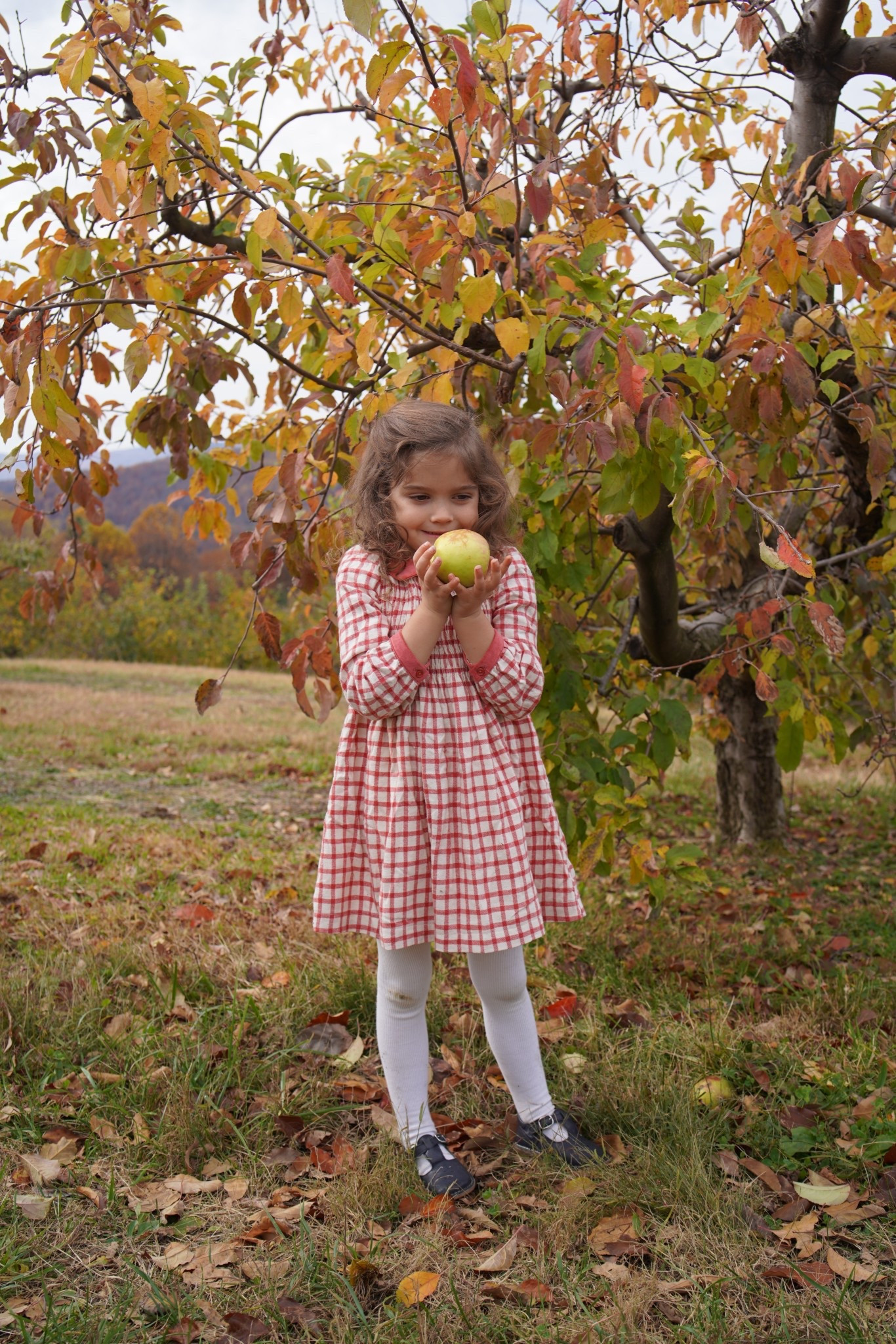Apple picking outfit 

#LTKFamily #LTKKids #LTKFindsUnder50