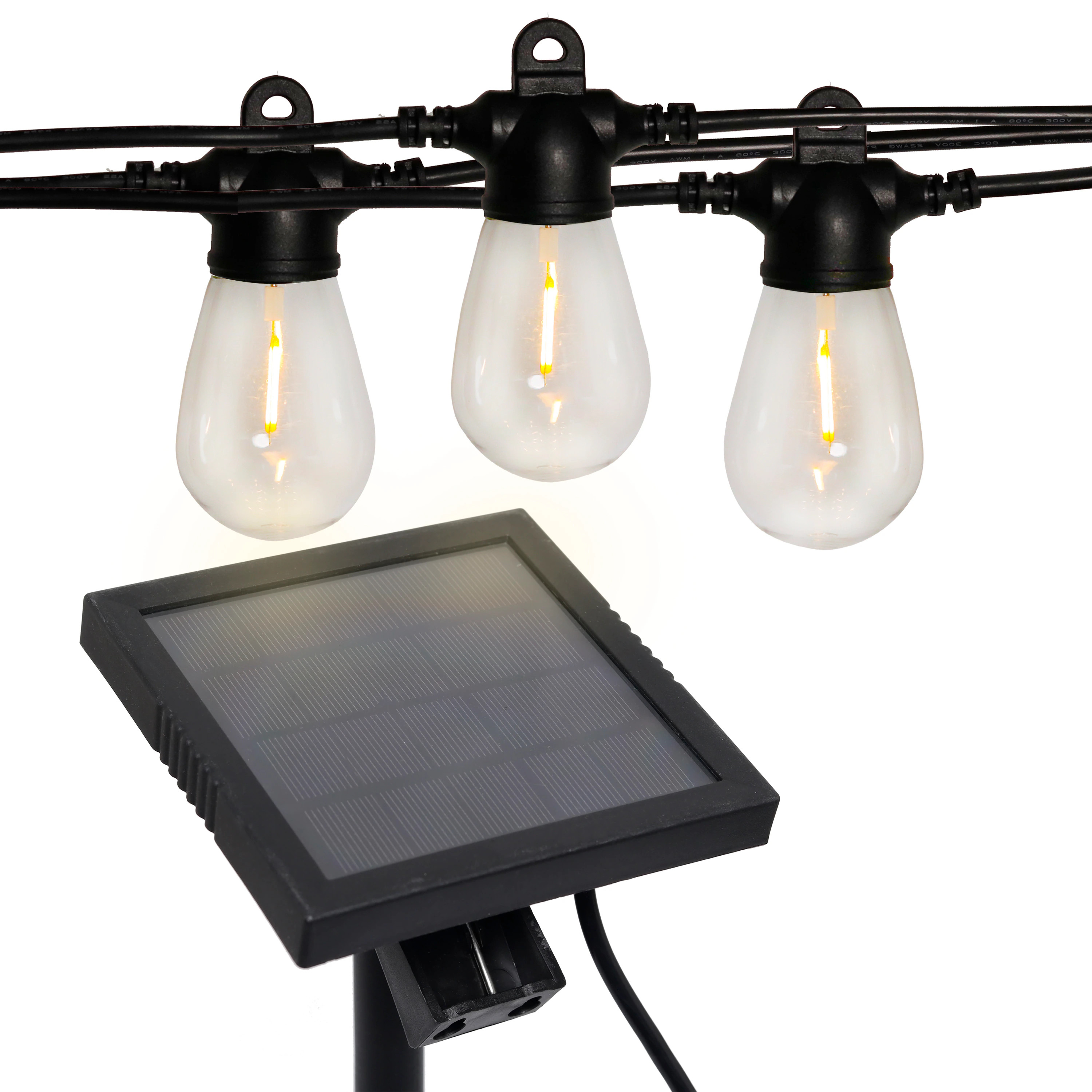 Westinghouse 48-ft Solar Black Outdoor String Light with 24 White-Light LED Edison Bulbs | Lowe's