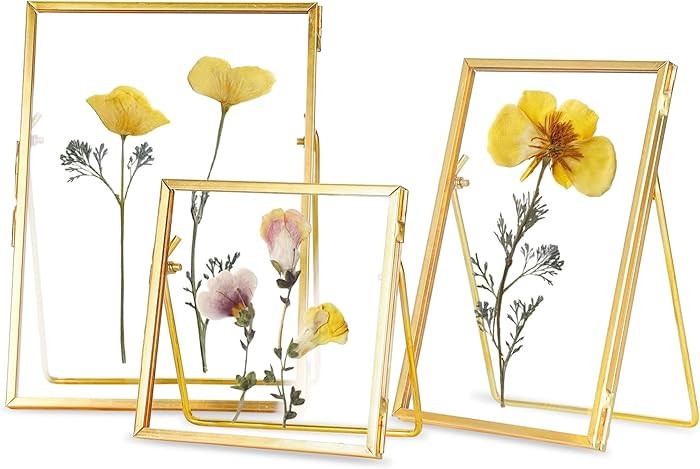 Glass Frame for Pressed Flowers Handmade, Double Glass Floating Picture Frame Set, Brass Photo Fr... | Amazon (US)