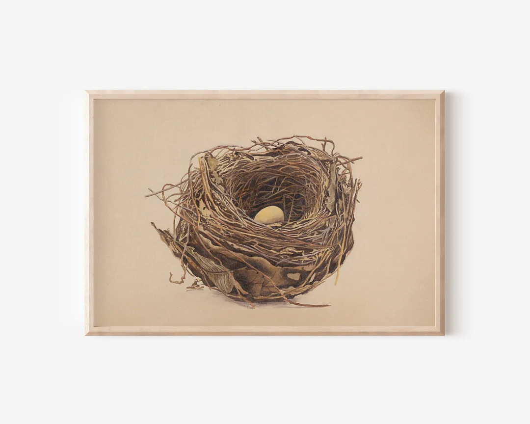 Vintage Birds  Nest Art Print Charming Nest Poster Easter Art Nest with Egg Digital Download  Pri... | Etsy (US)