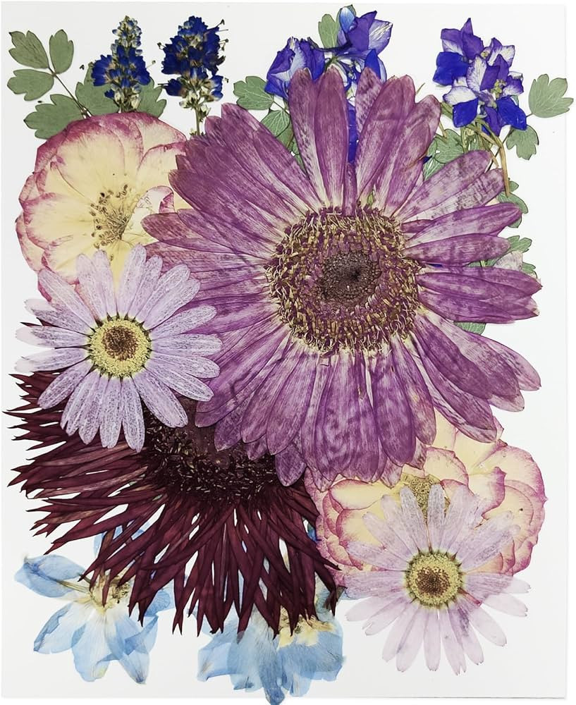 15Pcs Dried Pressed Flowers for Resin, Large Pressed Dried Flowers Leaves Bulk Natural Herbs Kit ... | Amazon (US)