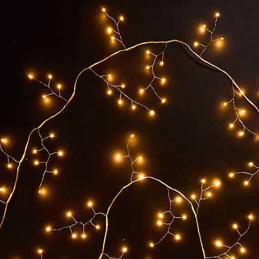 Stargazer Berrydrop String Lights | Terrain