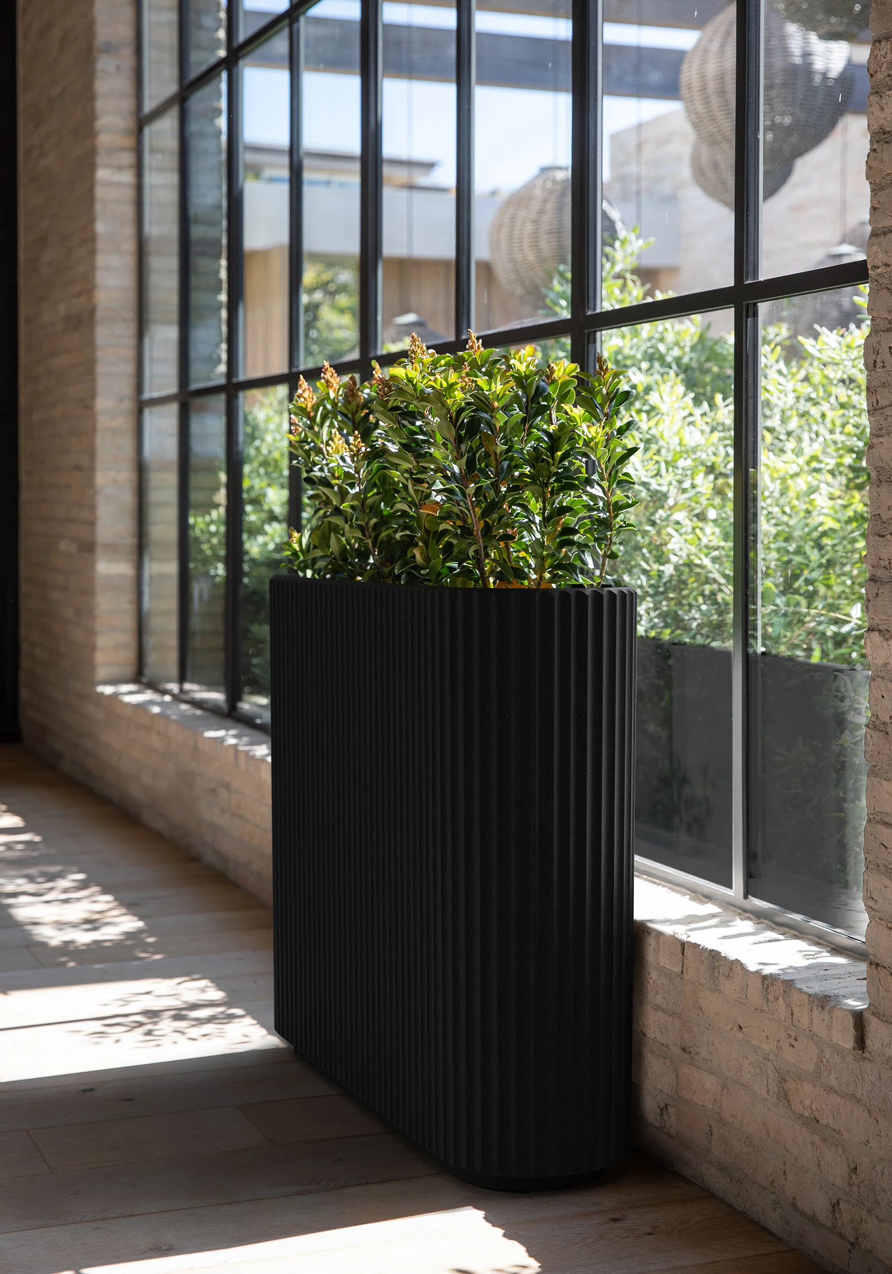 Veradek Demi Series Span Planter & Reviews | Wayfair | Wayfair North America