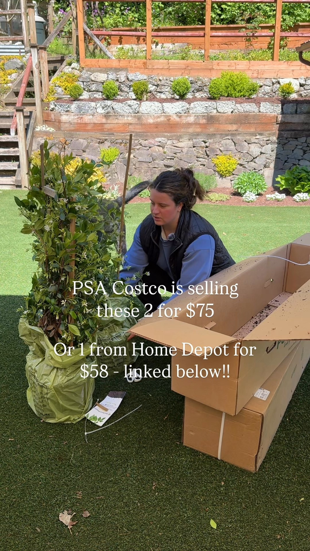 Star jasmine 🥹 Costco doesn’t have affiliate links but the same nursery grower selling at Costco sells online at Home Depot!! Link below! 

#LTKWatchNow #LTKSeasonal #LTKHome
