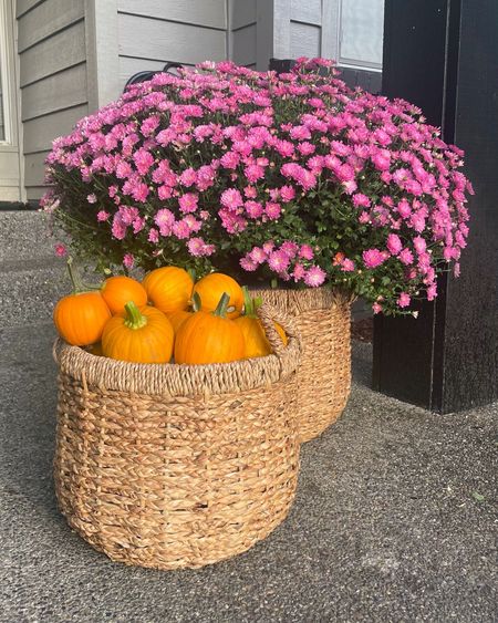 Fall Porch Decor. Put a plant saucer in the bottom and then add any potted plant inside! For the smaller basket I stuffed it with some cardboard before adding mini pumpkins on top to give it a full look. 

#LTKSeasonal #LTKfindsunder50 #LTKhome