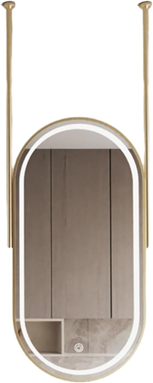 Stainless Steel Oval Hanging Rod Mirror Ceiling Hanging Mirror with LED Light, Adjustable Brightn... | Amazon (US)