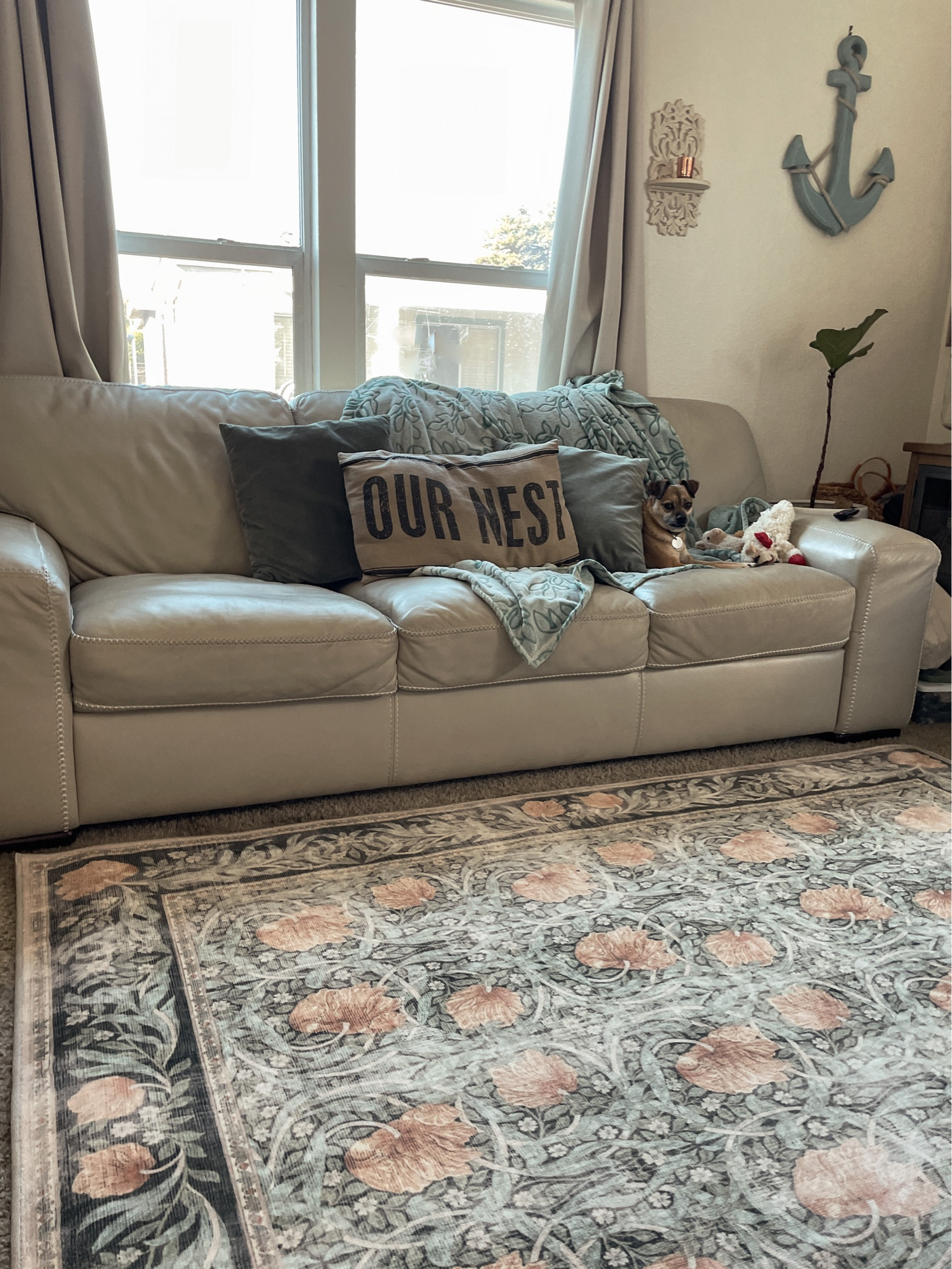 FLASH SALE: 20% off at Ruggable TODAY! ✨ 
#ruggable #ruggablesale #flashsale #salealert #morrisandco

#LTKsalealert #LTKhome #LTKFind