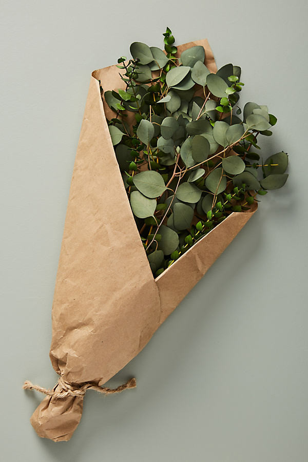 Dried Eucalyptus Bouquet By Anthropologie in Green Size ALL | Anthropologie (US)