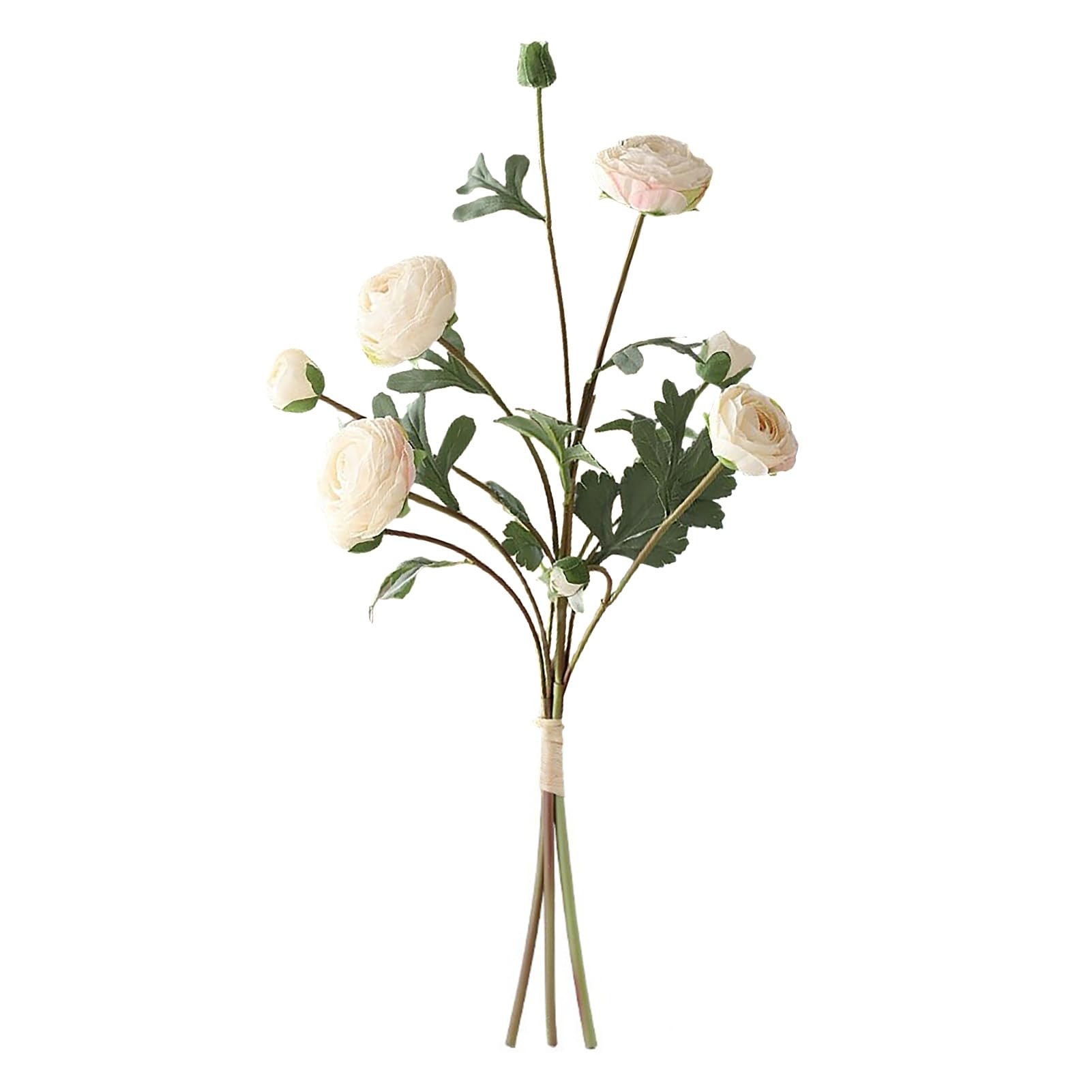White Peony | Amazon (CA)