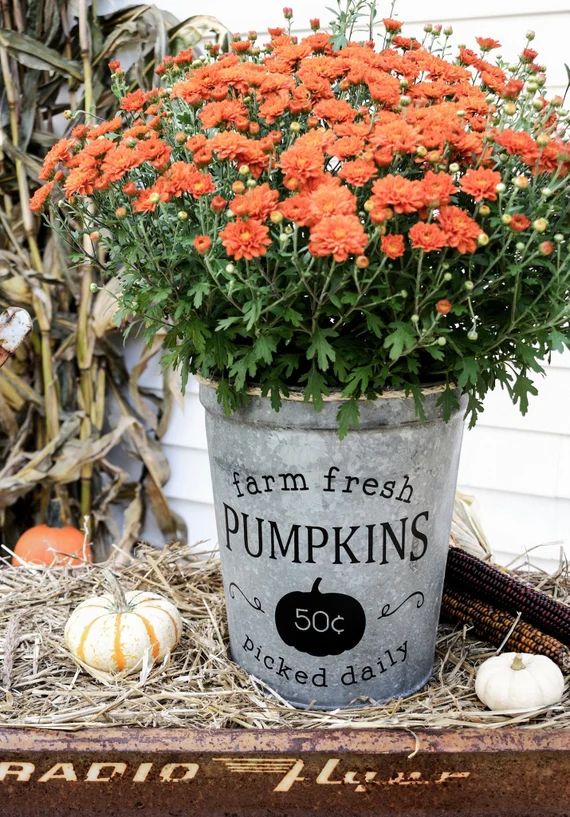 Fall Farmhouse Pumpkin Bucket | Fall Pumpkin Bucket | Farmhouse Porch Decor | Fall Galvanized Dec... | Etsy (US)