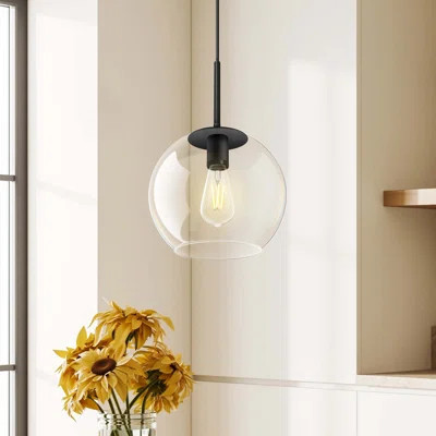 Bay Isle Home™ Aaroosh 1 - Light Dome Pendant with Rope Accents & Reviews | Wayfair | Wayfair North America