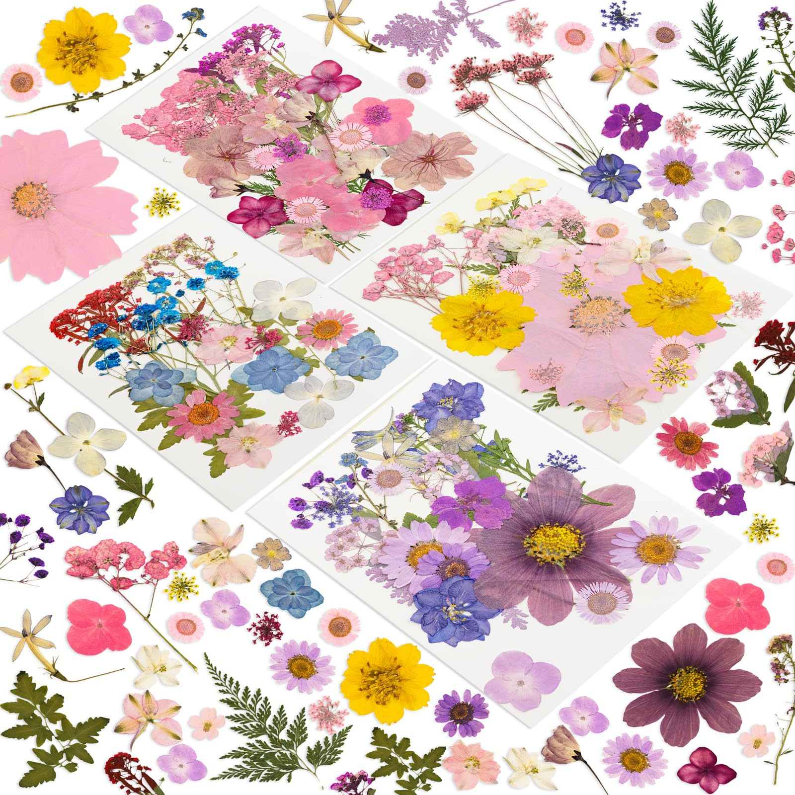 204 Pcs Dried Pressed Flowers for Resin Crafts, Real Natural Pressed Flowers and Leaves Kit Butte... | Amazon (US)