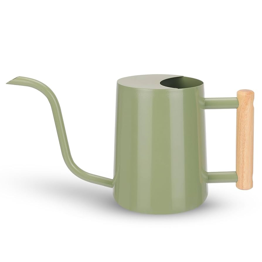 CEWOR Sage Green 35 Oz Metal Watering Can with Long Spout for Indoor & Outdoor Plants | Amazon (US)