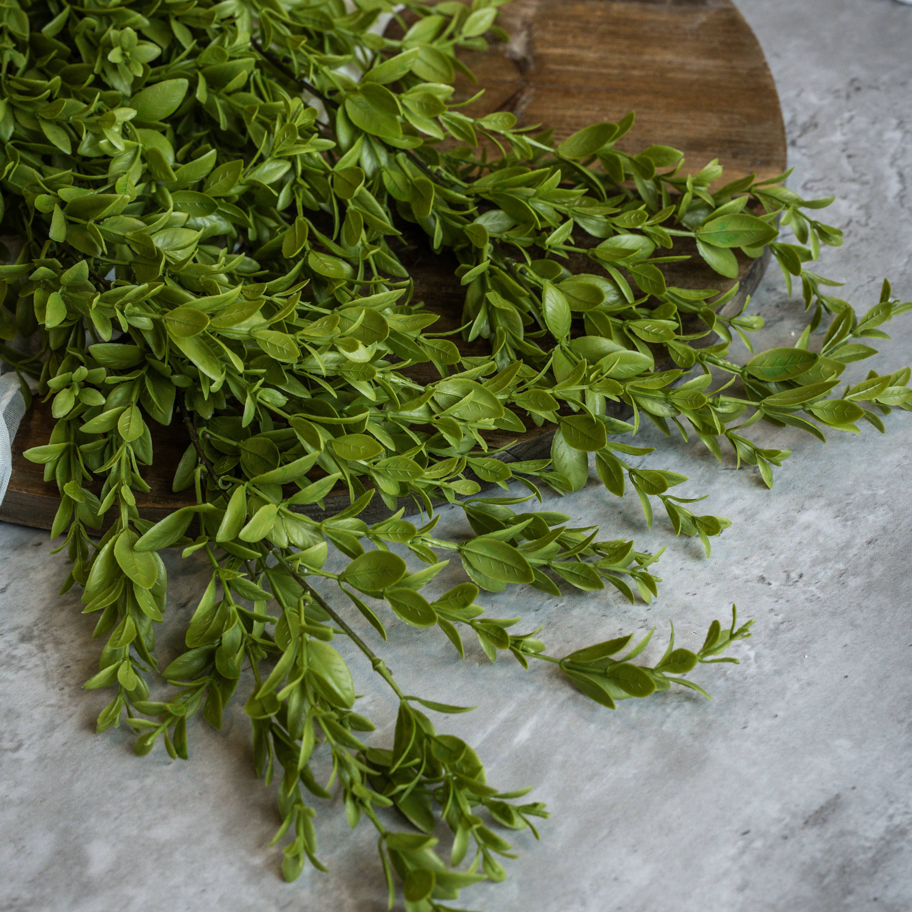 36" Ruscus Leaf Hanging Bush | Eco Chic Home