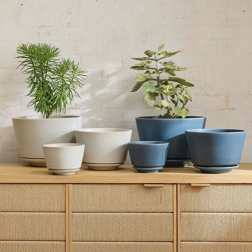 Elora Ceramic Planters | West Elm (US)