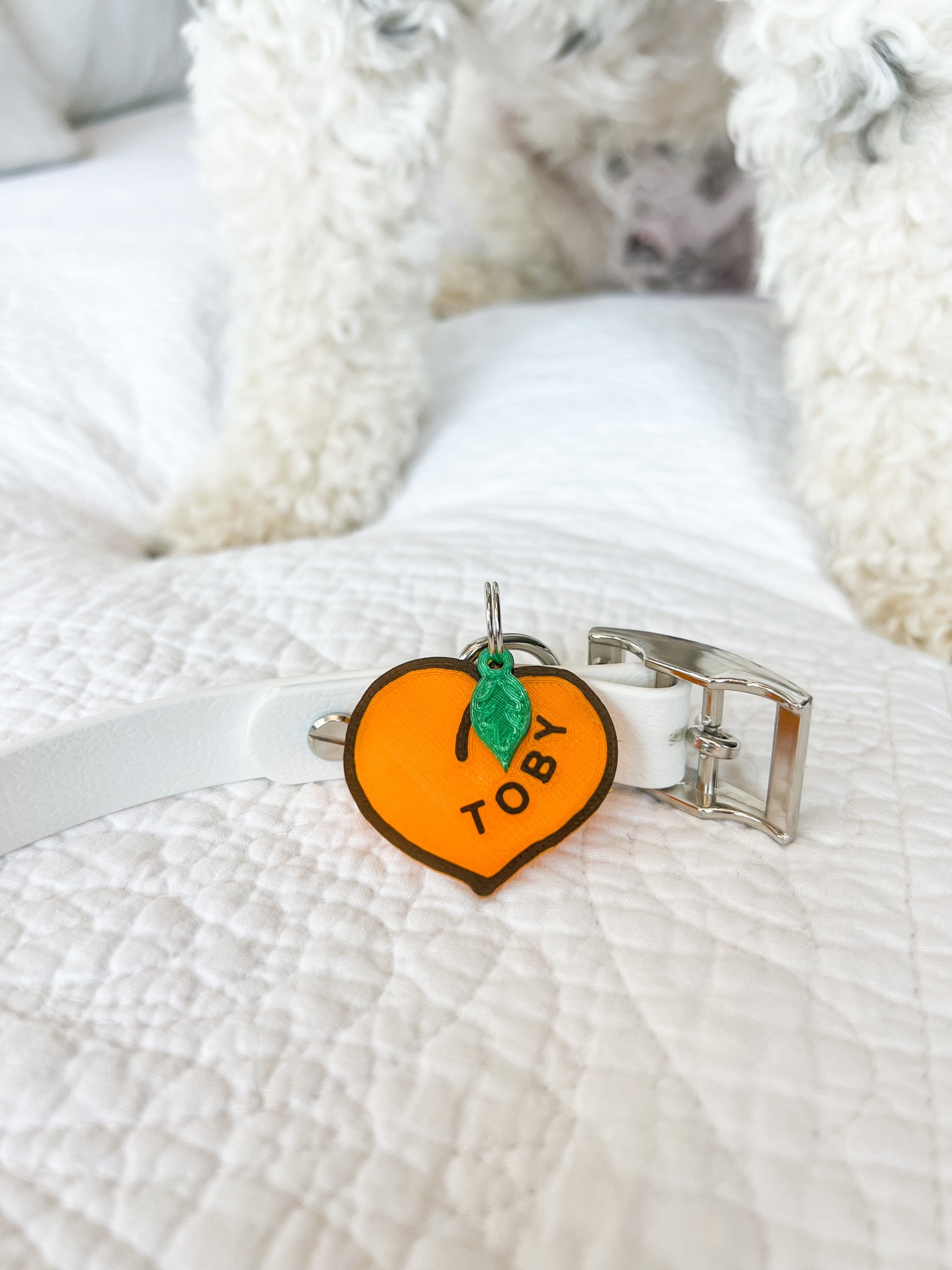 Peach perfect personalized dog collar charm. Use code TOBYLUKE for 10% off!

#LTKfindsunder50 #LTKfamily