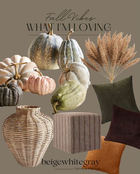 These fall vibes are so good! From the beautiful pumpkins that look so realistic to the affordable throw pillows and the woven large vase from pottery Barn. 

#LTKhome #LTKFind #LTKSeasonal
