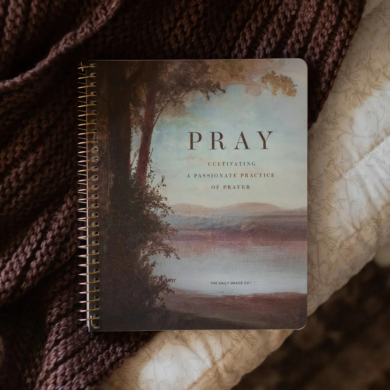 Pray Bible Study | The Daily Grace Co.