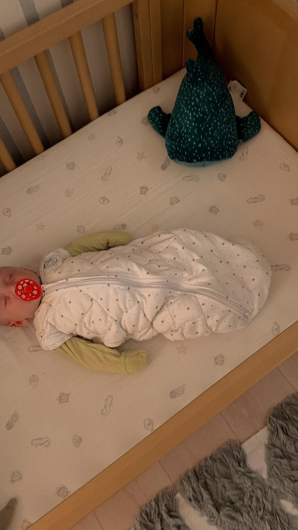 Our favorite sleep sack from dream land!!

#LTKBaby