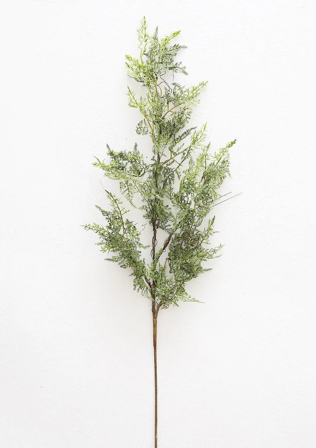 Artificial Baby's Tears Fern Branch - 36" | Afloral