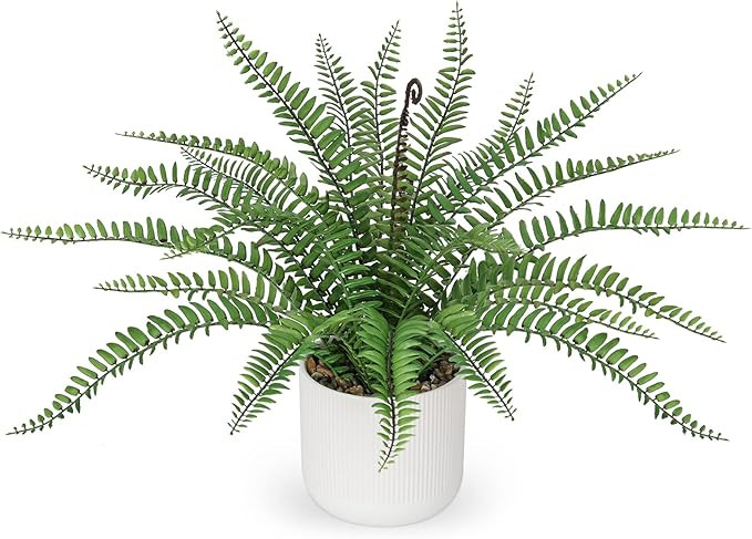 DILATATA Faux Plant Indoor in Ceramic Pot 16" Artificial Potted Boston Fern Fake House Plants for... | Amazon (US)