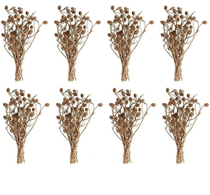 Creative Co-Op Set of 12, 12" L Dried Bora Bouquet Artificial Plants, Natural | Amazon (US)