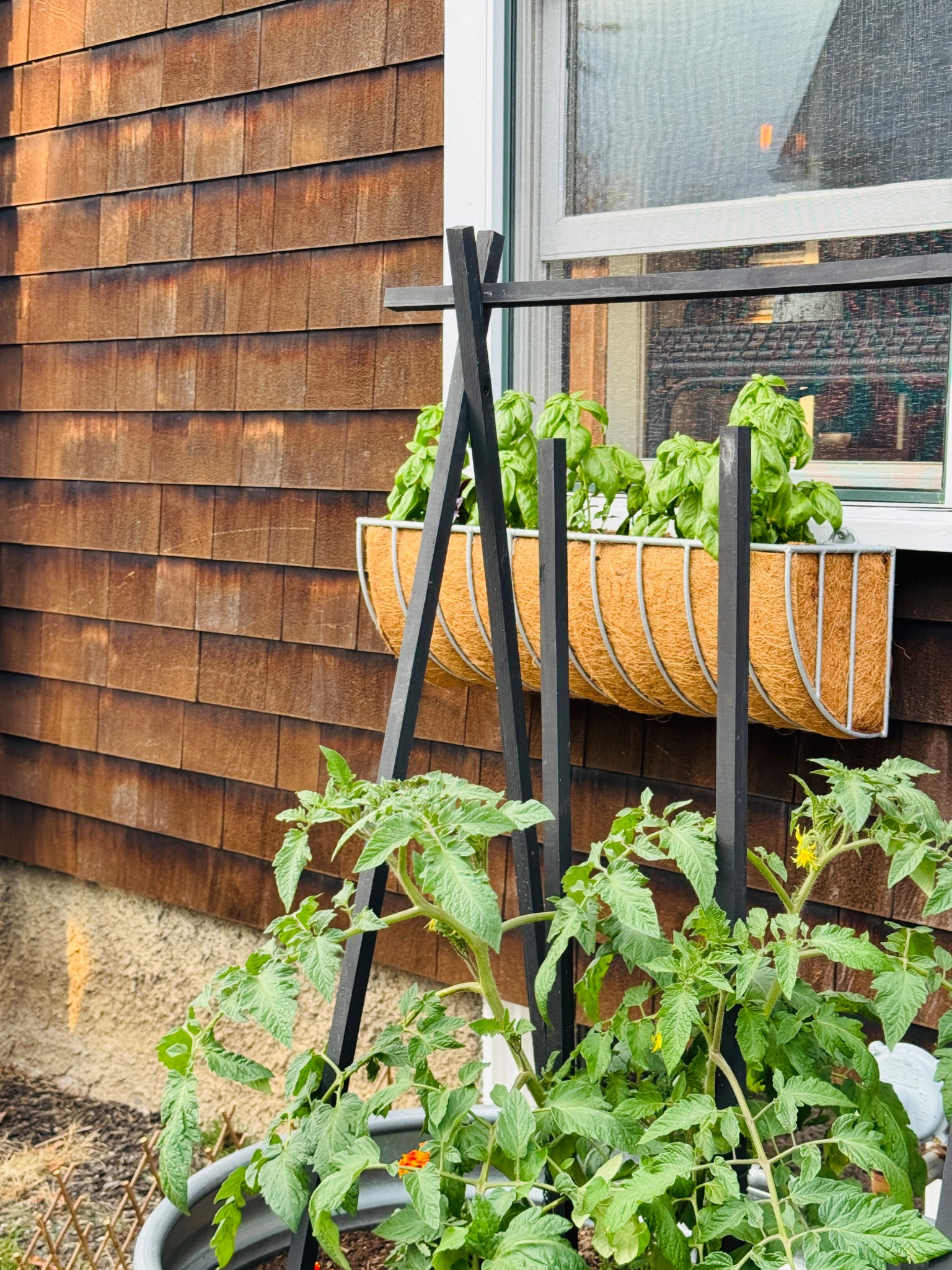 Zinc Hayrack window boxes.

#LTKHome #LTKSeasonal