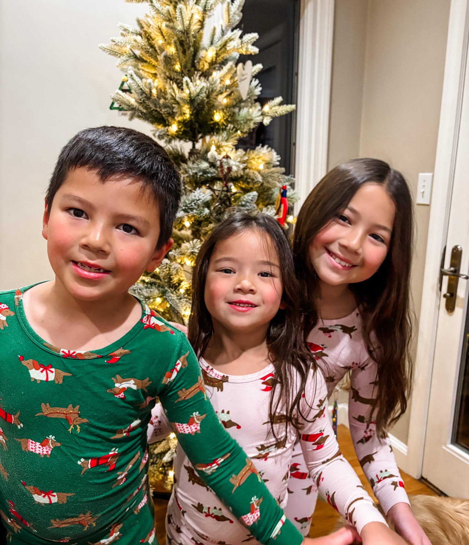 The *softest* pjs you will find! And they’re so low cost (less than $12!) for such great quality! Highly highly recommend for your kiddos! 🎄✨🫶🏻

#LTKHoliday #LTKKids #LTKFamily