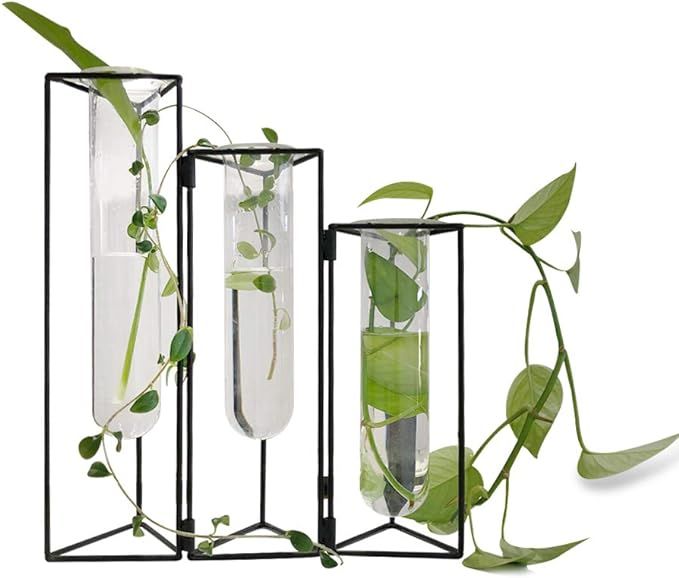 SHINA Set of 3 Test Tube Vase with Black Iron Frame Stand Creative Desktop Glass Planter Hydropon... | Amazon (US)