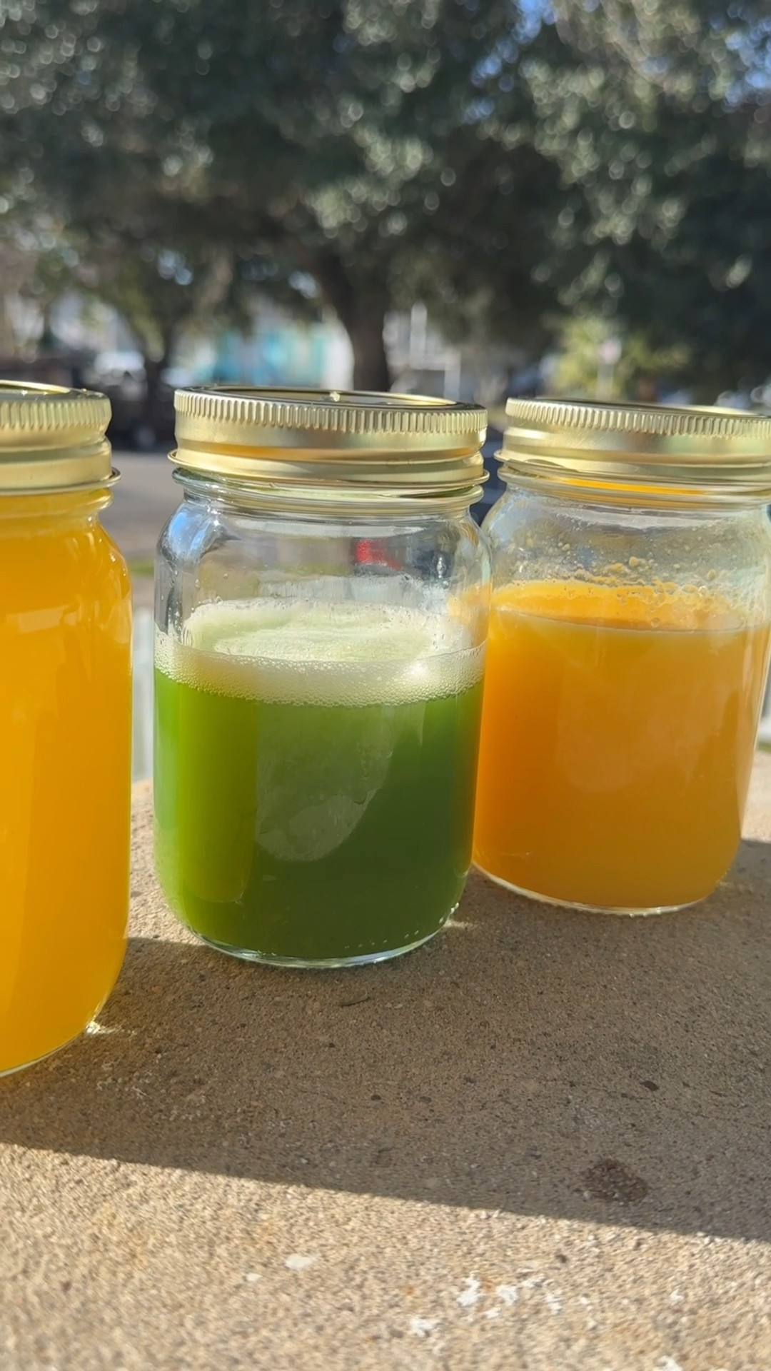Juicer attachment for your mixer! 

#LTKfitnessgoals #LTKmomlife #LTKdayinmylife