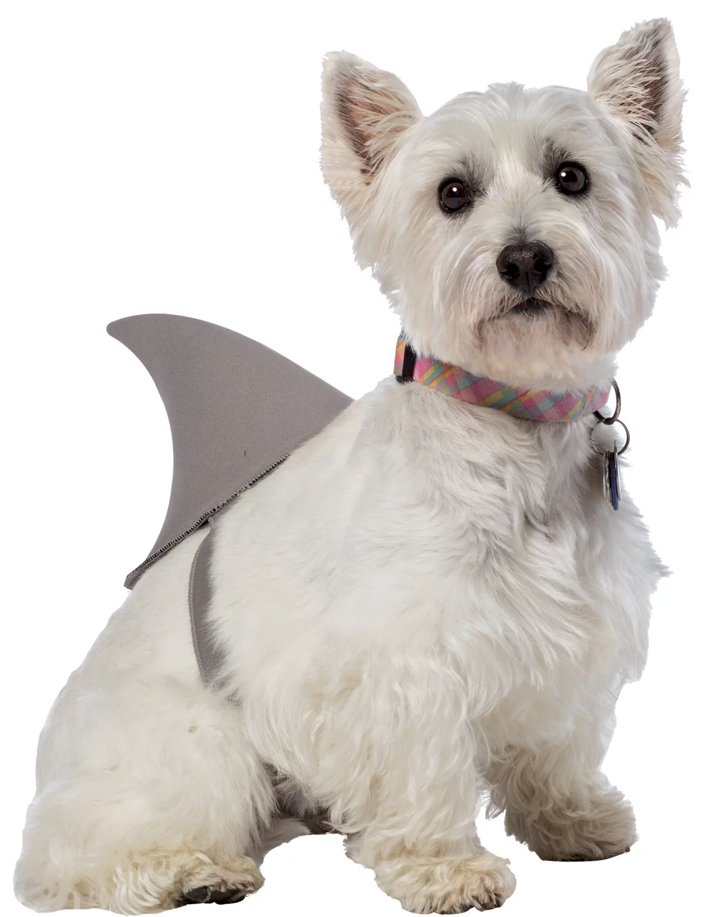 Shark Fin Dog Costume Xl/Xxl | Walmart (US)