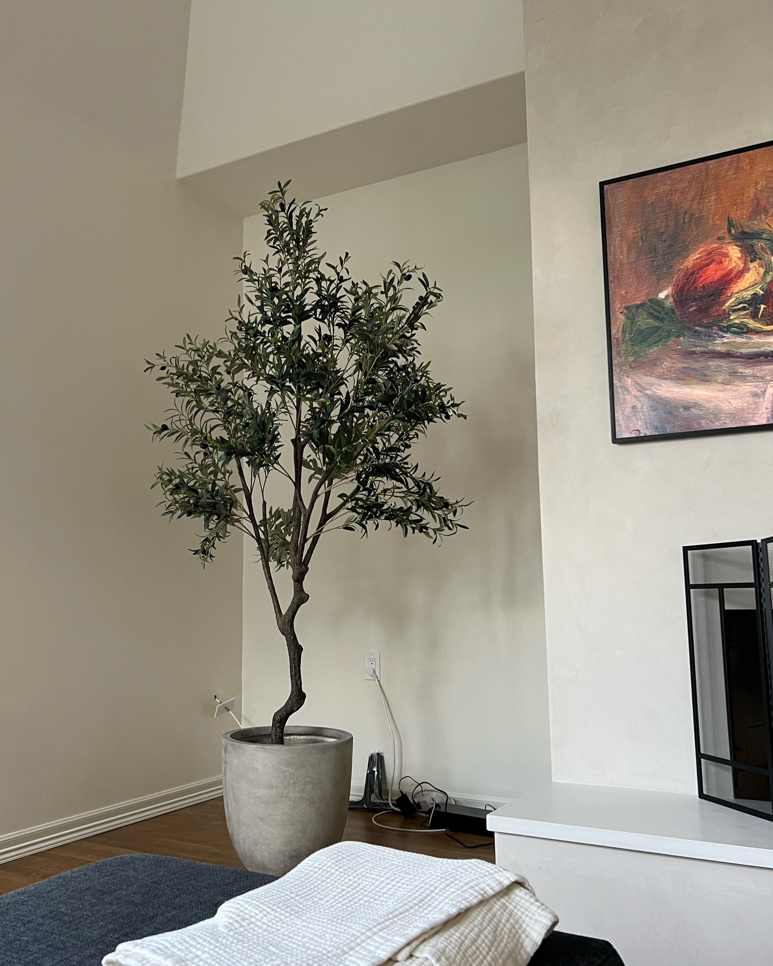 Olive tree is an Etsy buy I bought last year it’s over 6’ tall and gorgeous in person! Concrete pot Amazon + fireplace cover is also Amazon 

#LTKHome #LTKFindsUnder100