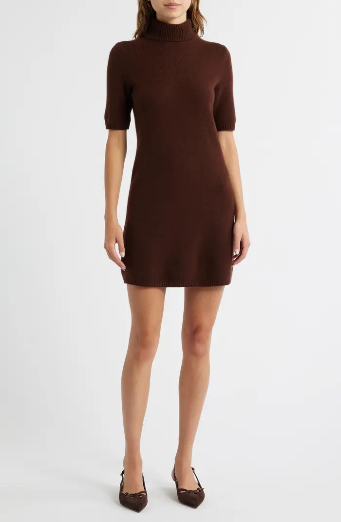 Agathe Turtleneck Cashmere Sweater Dress | Nordstrom
