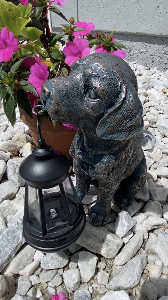 I can’t wait to start decorating my new home and I already got this super cute solar light puppy to put in my garden 🪴