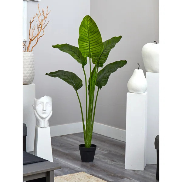60in. Travelers Palm Tree UV Resistant (Indoor/Outdoor) | Wayfair North America
