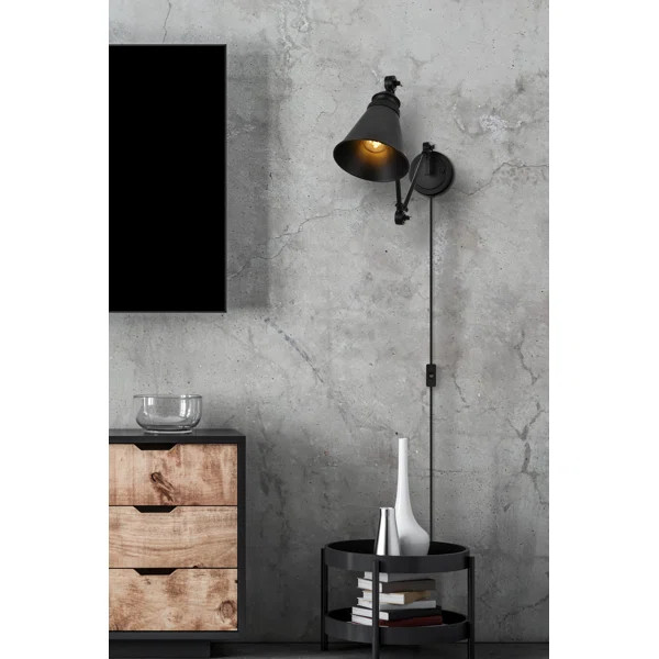 Pruett Iron Plug-in Swing Arm Sconce | Wayfair North America