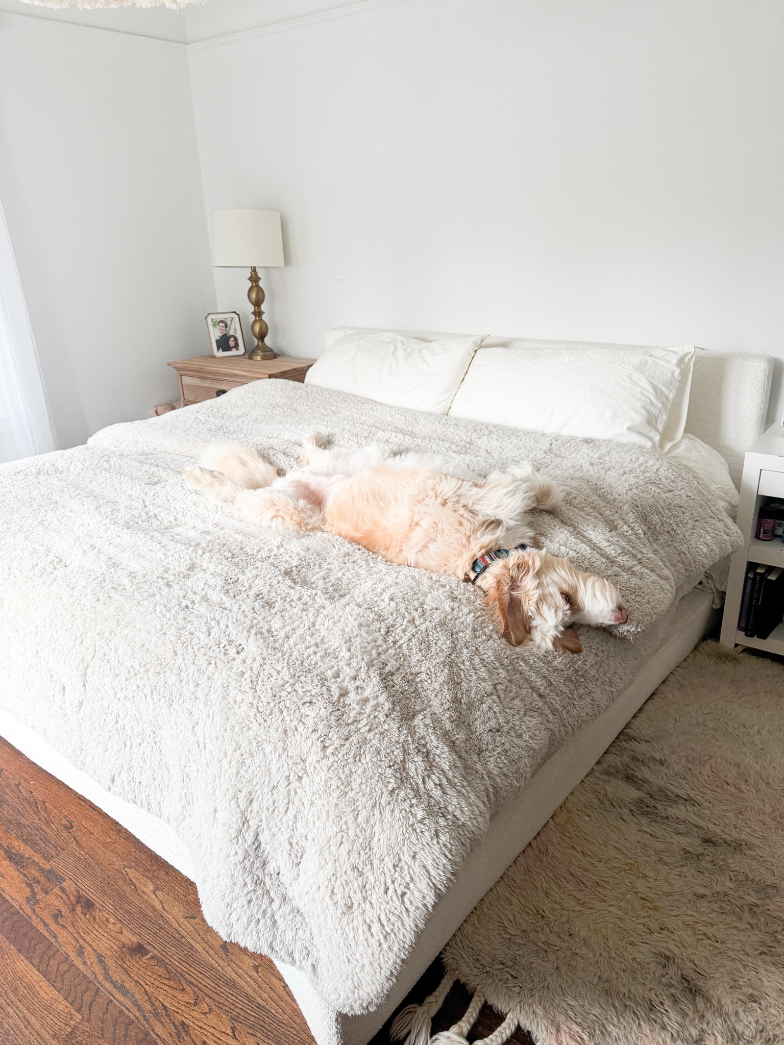 Jealous of your dog’s floofy beds? Not anymore with this comforter. It’s so soft and snuggly, perfect for winter ❄️  Time to hibernate. #dogmom #dogmomlife #hibernate