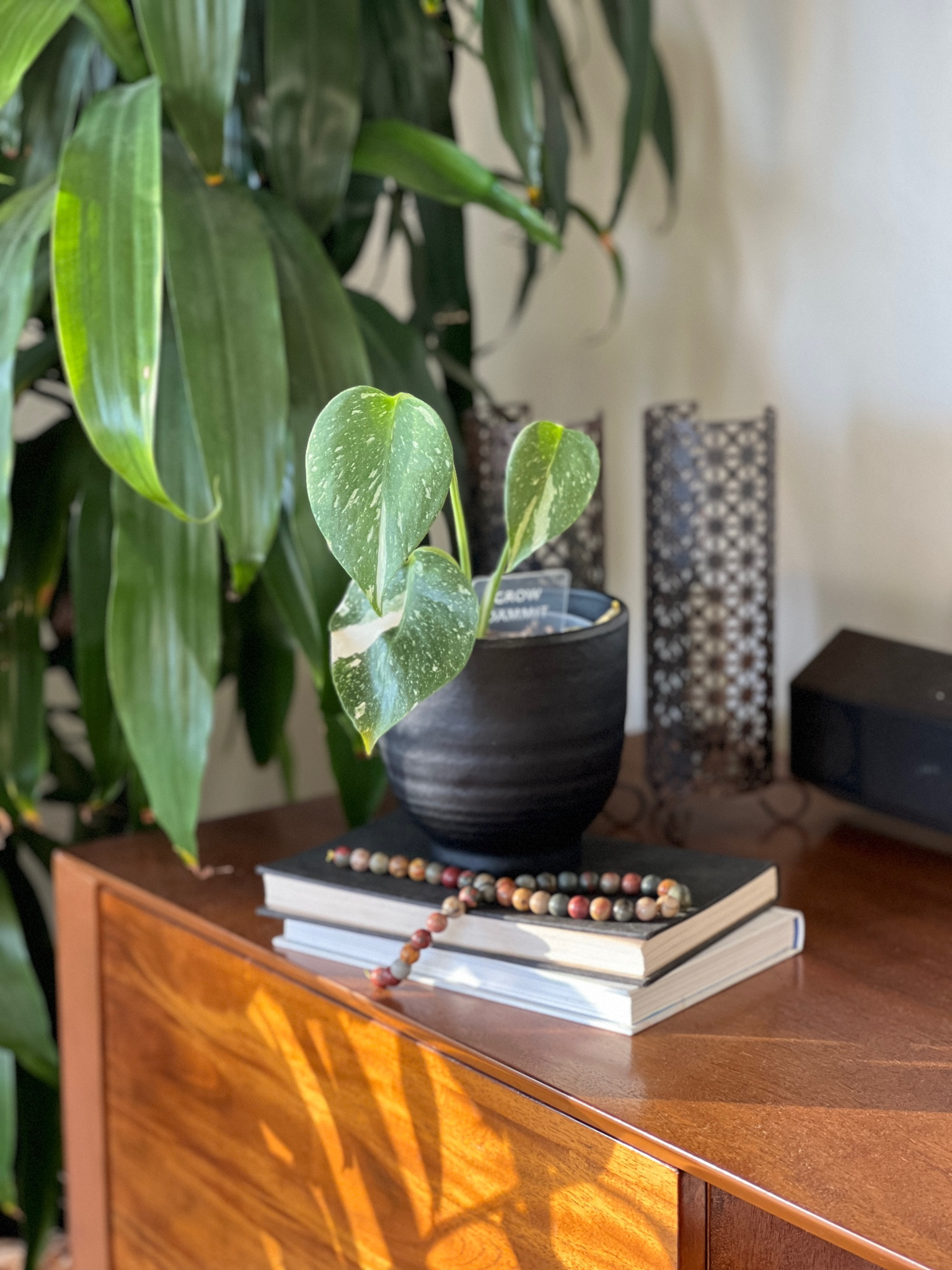 The best CB2 plant pot set

#LTKunder50 #LTKstyletip #LTKhome