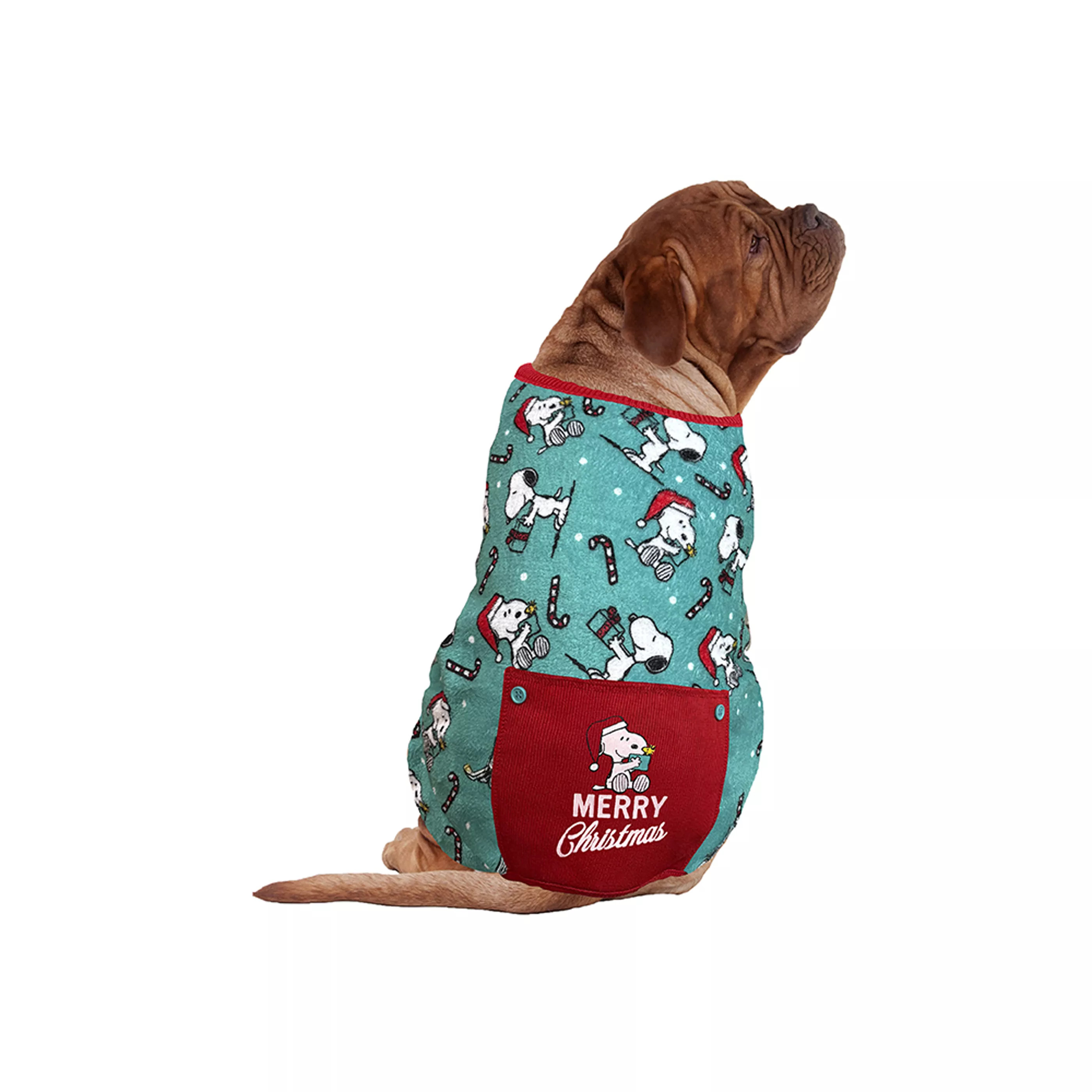 Peanuts Snoopy Green Dog Pajamas | PetSmart