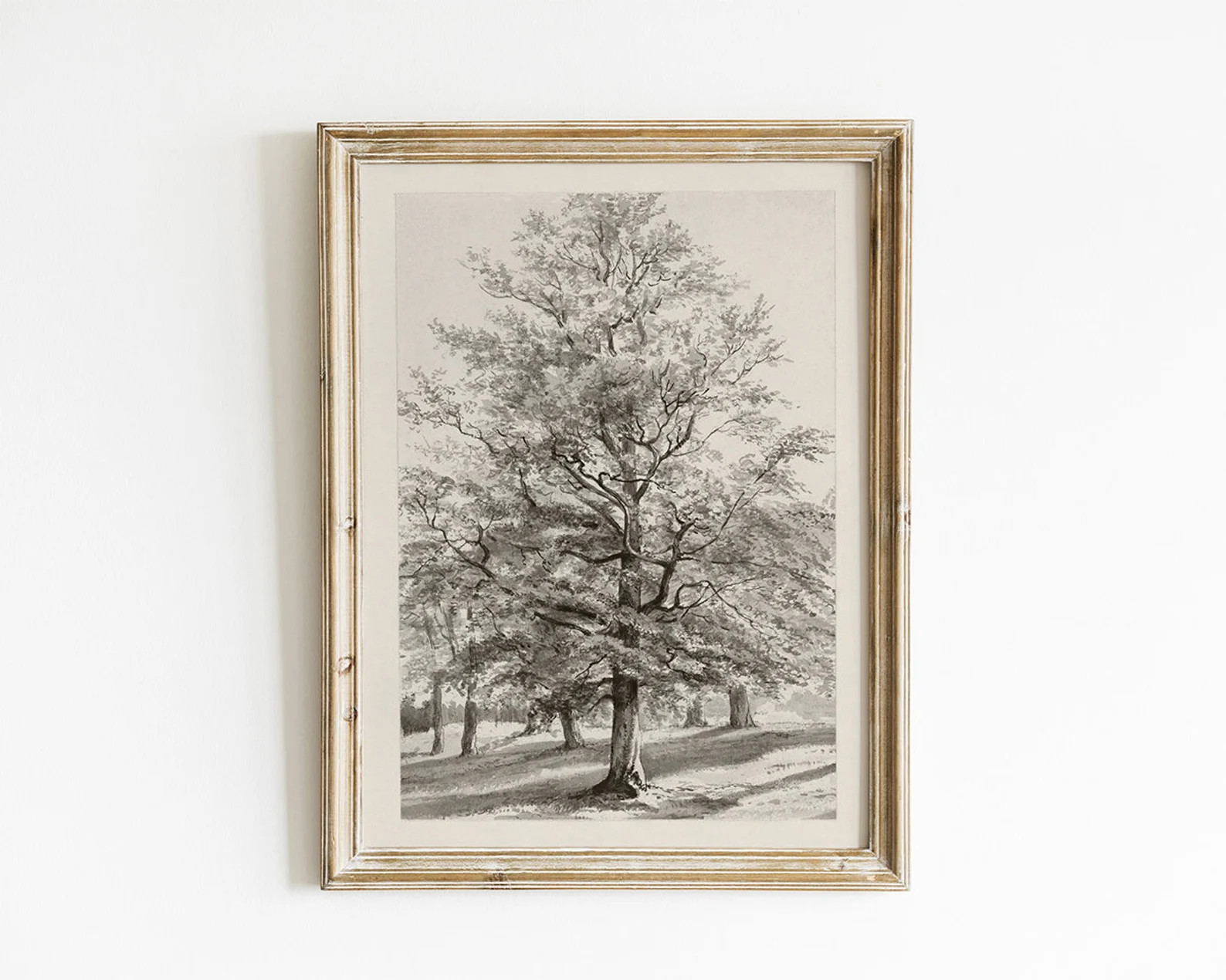 Vintage Oak Tree Art PRINTABLE Landscape Sketch Vintage Art | Etsy | Etsy (US)