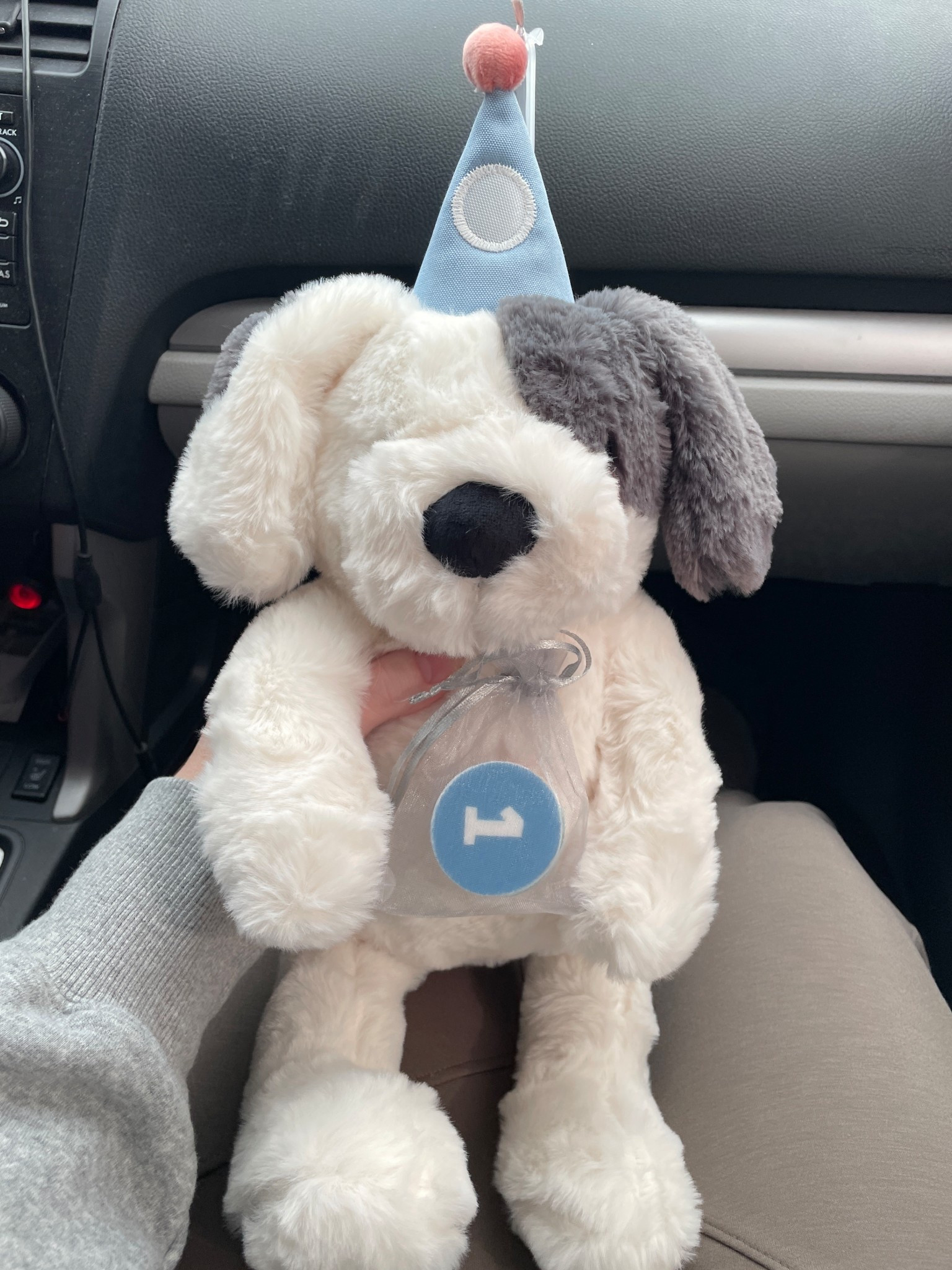 Birthday stuffie with bday hat and up to 6yr milestone 


#LTKBaby #LTKKids