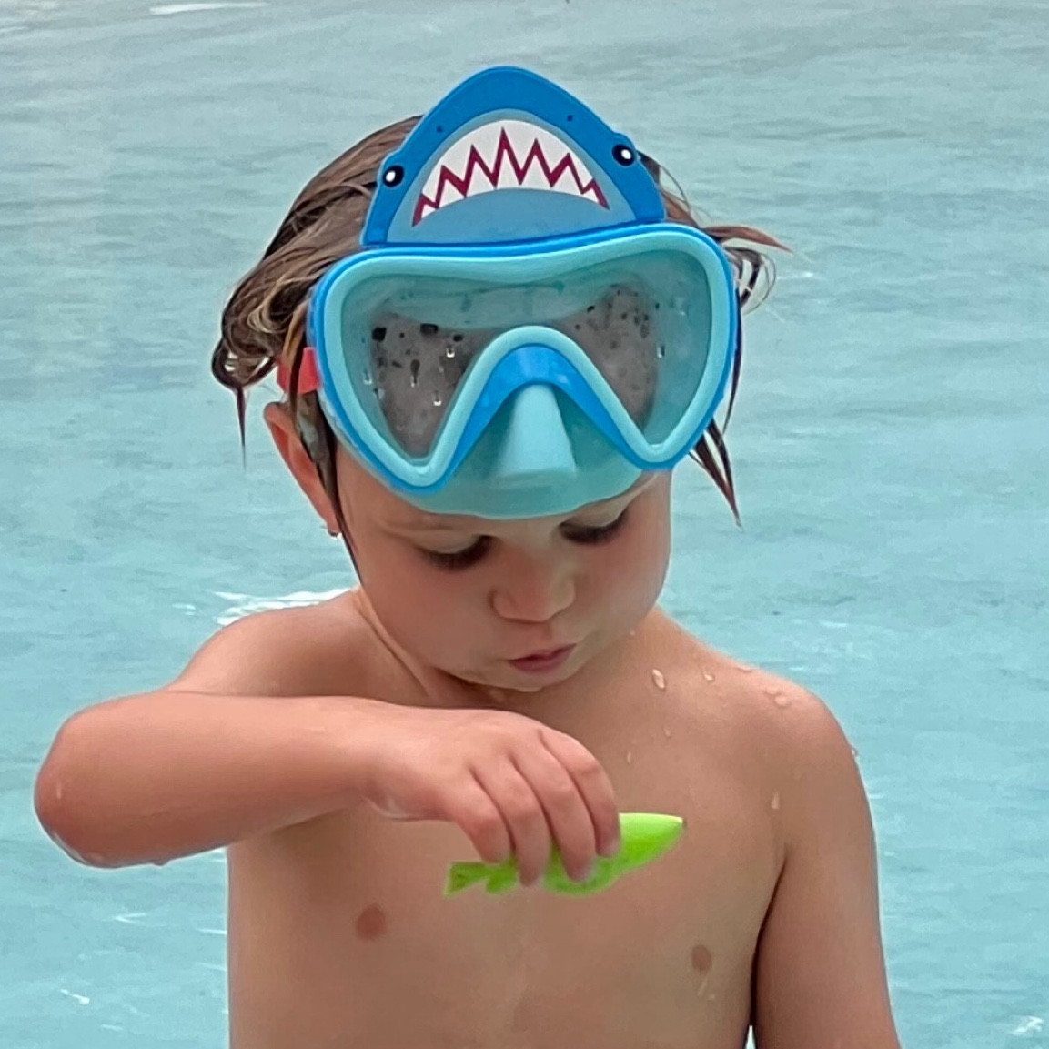 Shark 🦈 Sight 

#summer #kids #summerfun 

#LTKFindsUnder50 #LTKSwim #LTKKids