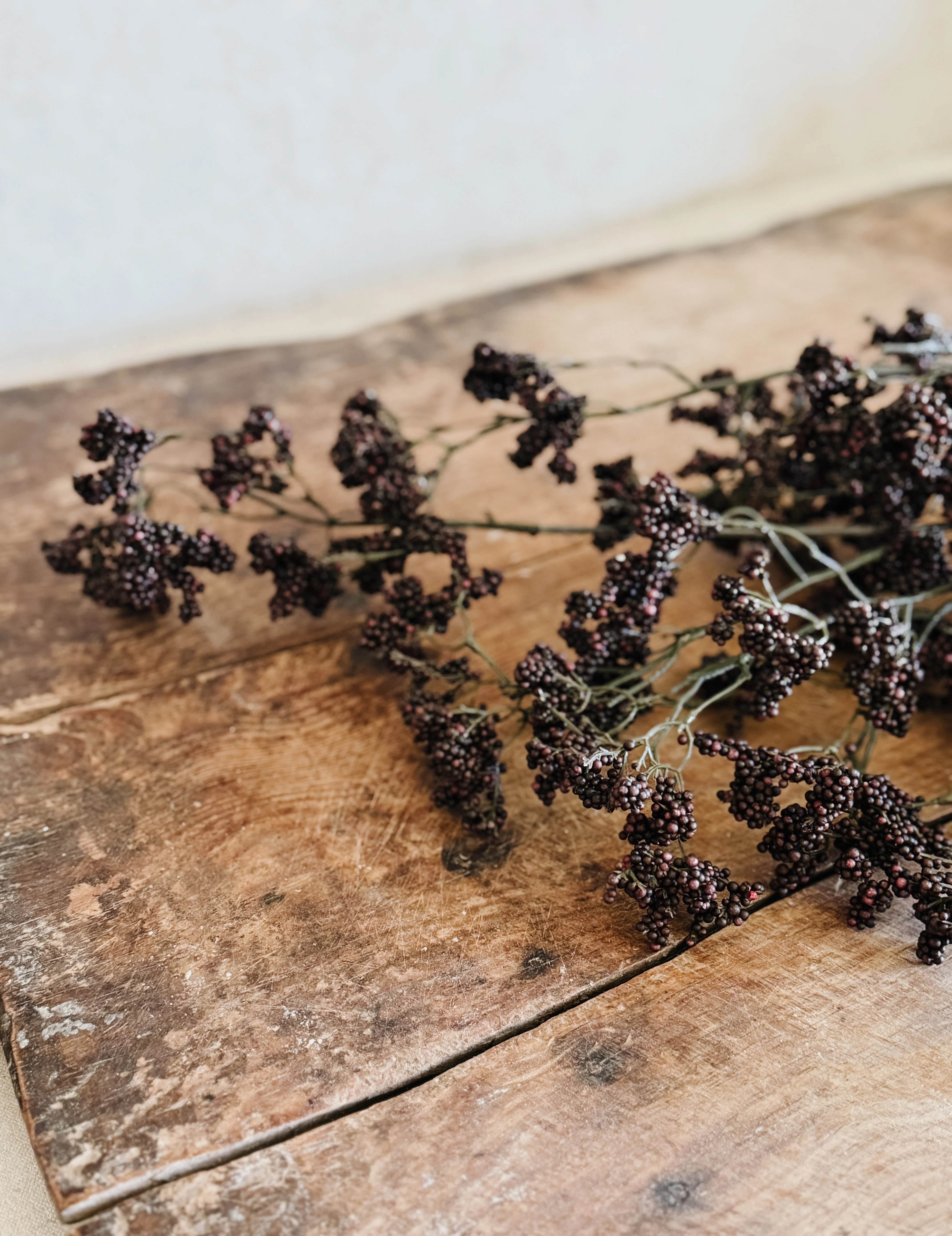 Plumb Berry Stem - Pre Order | Cottage and Key