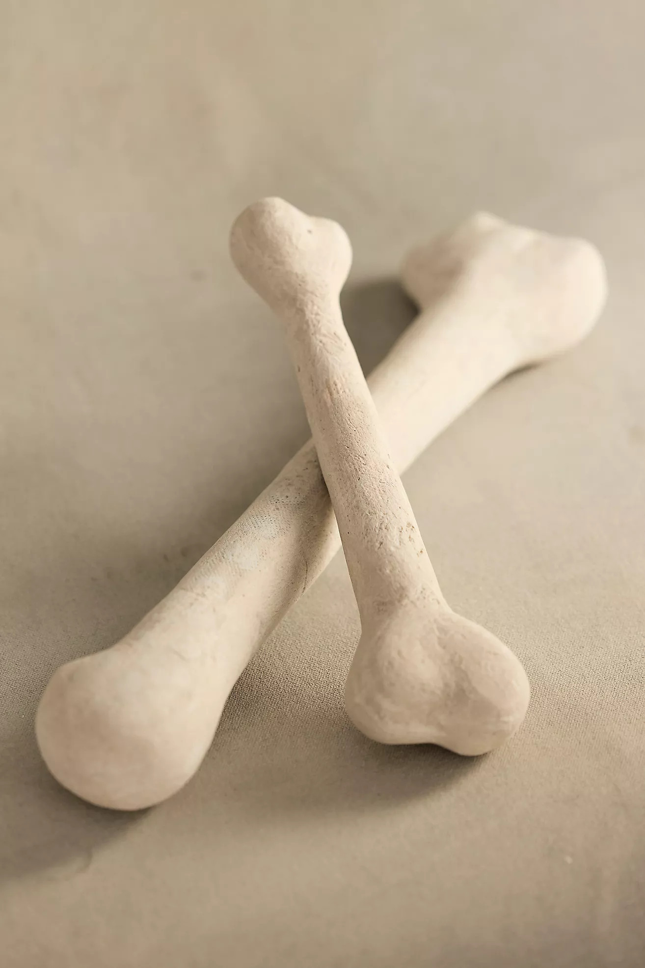 Bone Ceramic Fire Pit Accents, Set of 2 | Anthropologie (US)