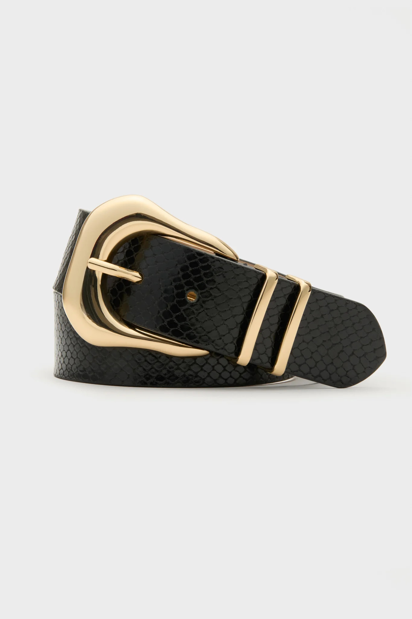 Black and Gold Koda Python Belt | Tuckernuck (US)
