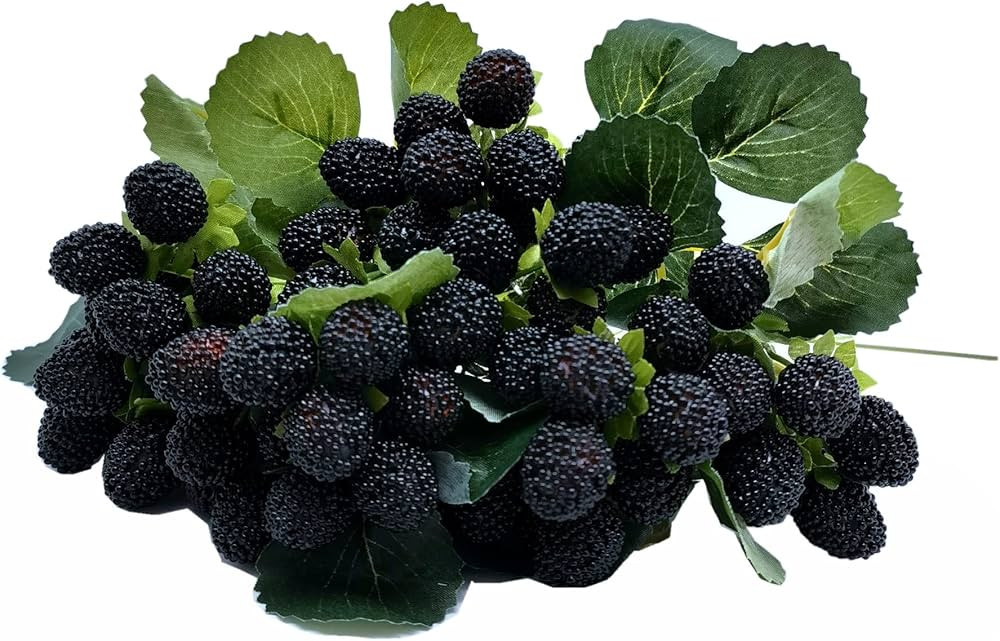 M2cbridge 4PCS Artificial Raspberry Red Berry Strawberry Faux Fruit BlackBerry Props Table Decora... | Amazon (US)