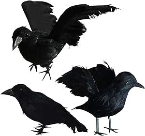 FUNPENY Halloween Black Feathered Crows, 3 Pack Black Crows with Real Feather Halloween Decoratio... | Amazon (US)