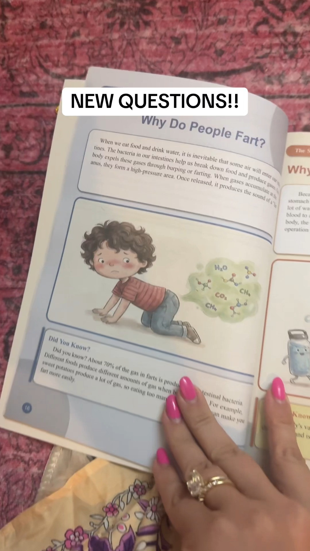 If your kid is in their endless “why?” era, this one is such a fun pick. It’s packed with kids’ questions and answers that make learning feel like play. 

 #LTKdayinmylife #LTKmomlife #LTKKids