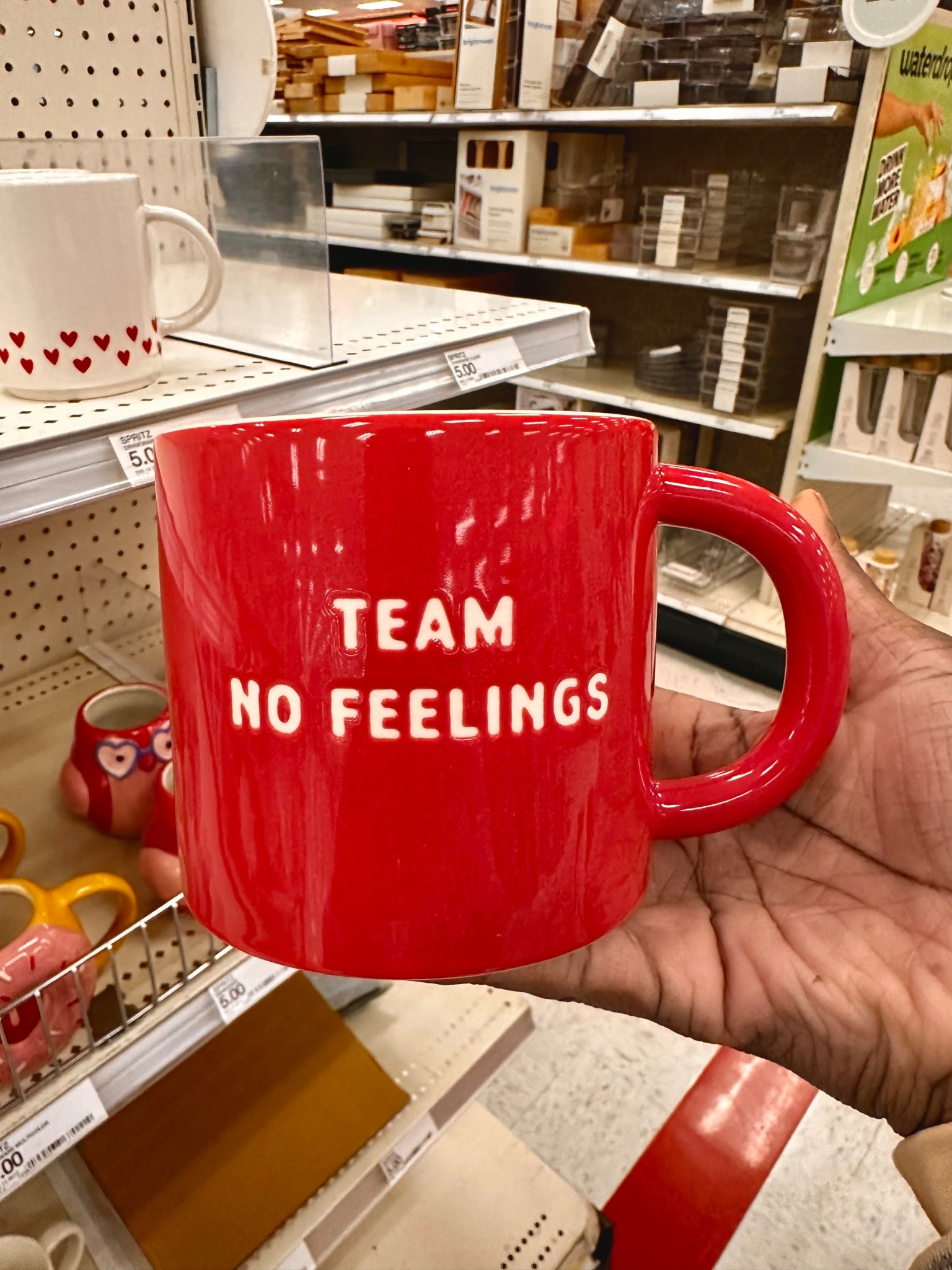 Team No Feelings Mug