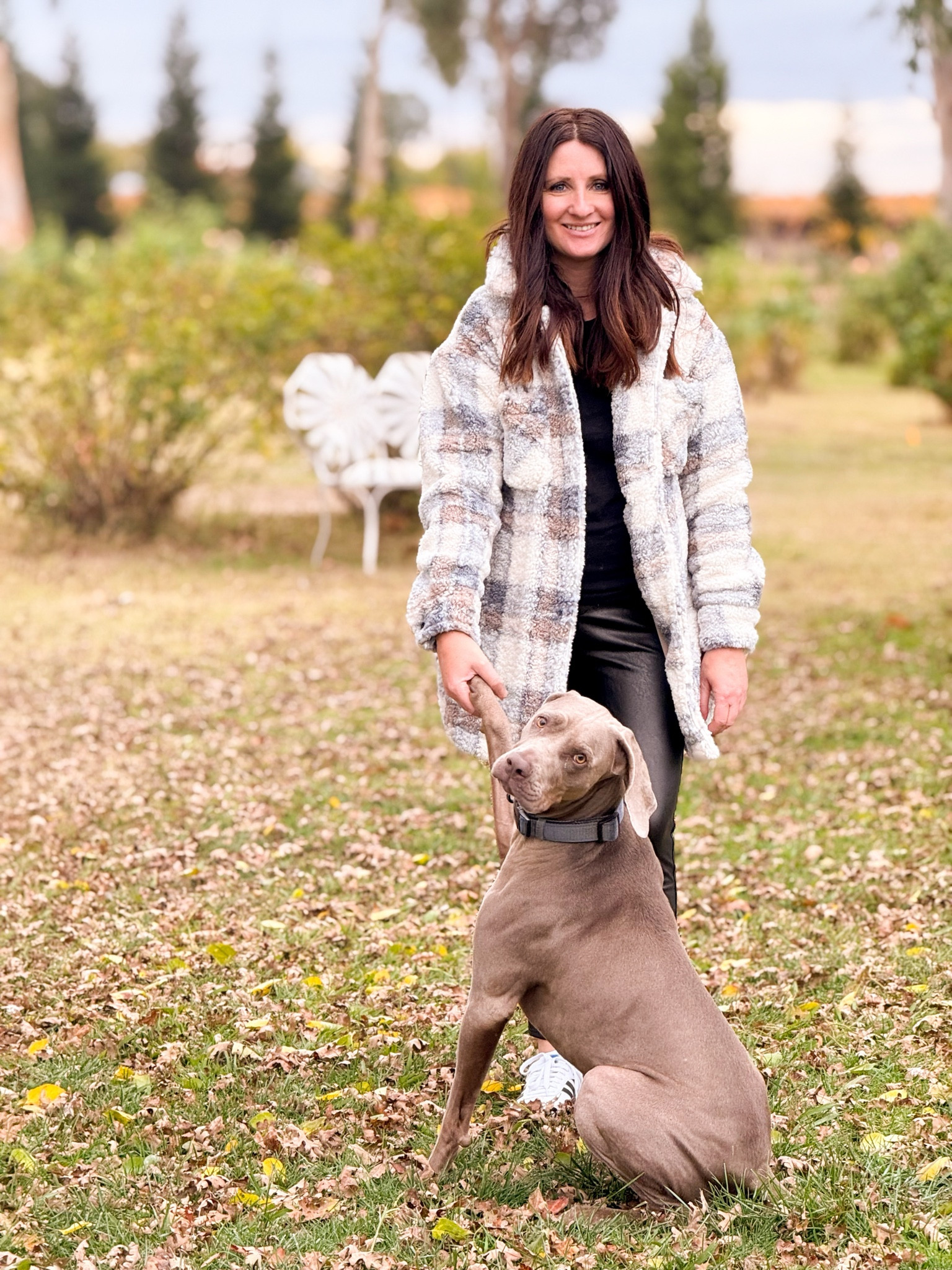 Love this flannel fleece jacket! It looks great with these petite faux leather leggings, and also look great with jeans and sneakers! This outfit is comfortable and warm on a chilly winter’s day like today! ❤️  PS: I also shared a link to my dog’s  (he’s a Weimaraner) collar! It is so durable!! It’s the only collar that he hasn’t destroyed!! It will make a great stocking stuffer from Amazon for the pup in your life! 🐾

#LTKCyberWeek #LTKStyleTip #LTKSeasonal